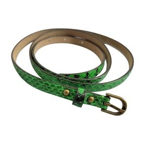 Ann Taylor Womens Green Snakeskin Embossed Leather Skinny Belt Size M 271022